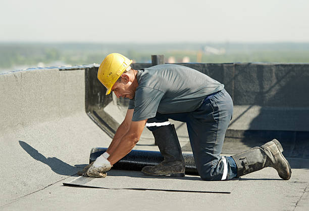 Best Local Insulation Services  in Fair Lakes, VA