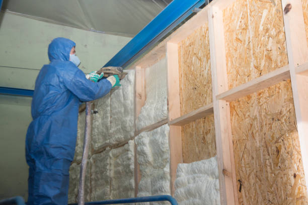 Best Insulation Contractor Near Me  in Fair Lakes, VA